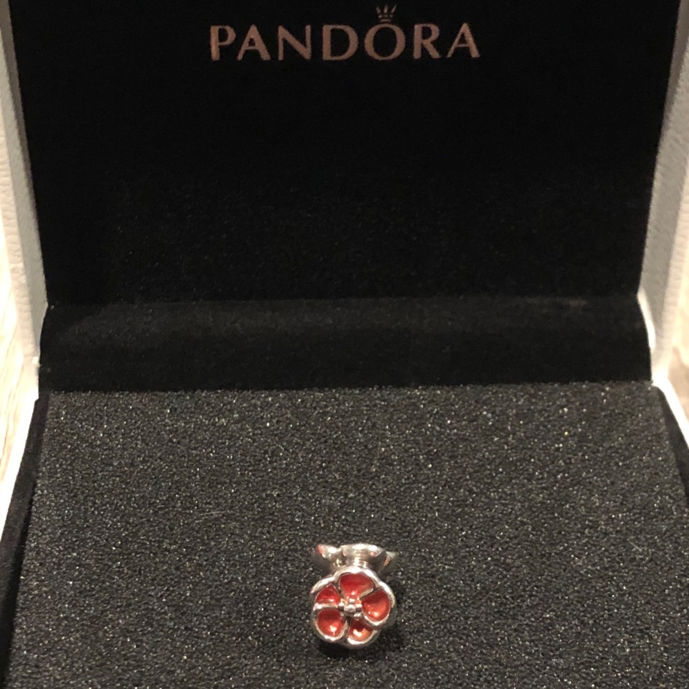 Authentic Pandora Flower Charm!